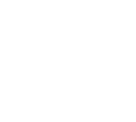 Dsdt logo