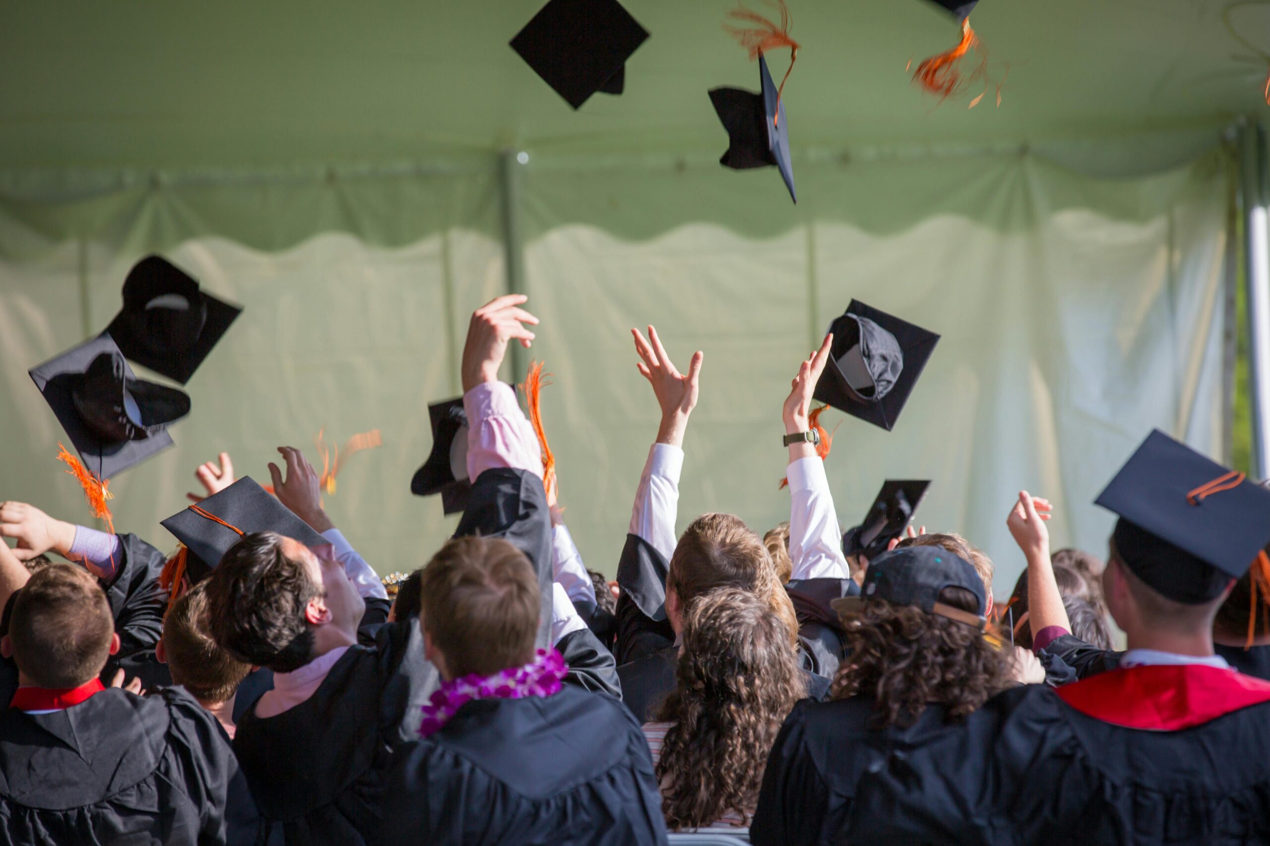 Overcoming Obstacles: Inspiring Stories from DSDT Graduates
